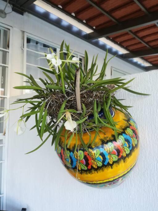 Privadas Turquesa, Nombre Del Alojamiento "Casa Niza Cancun" Bagian luar foto