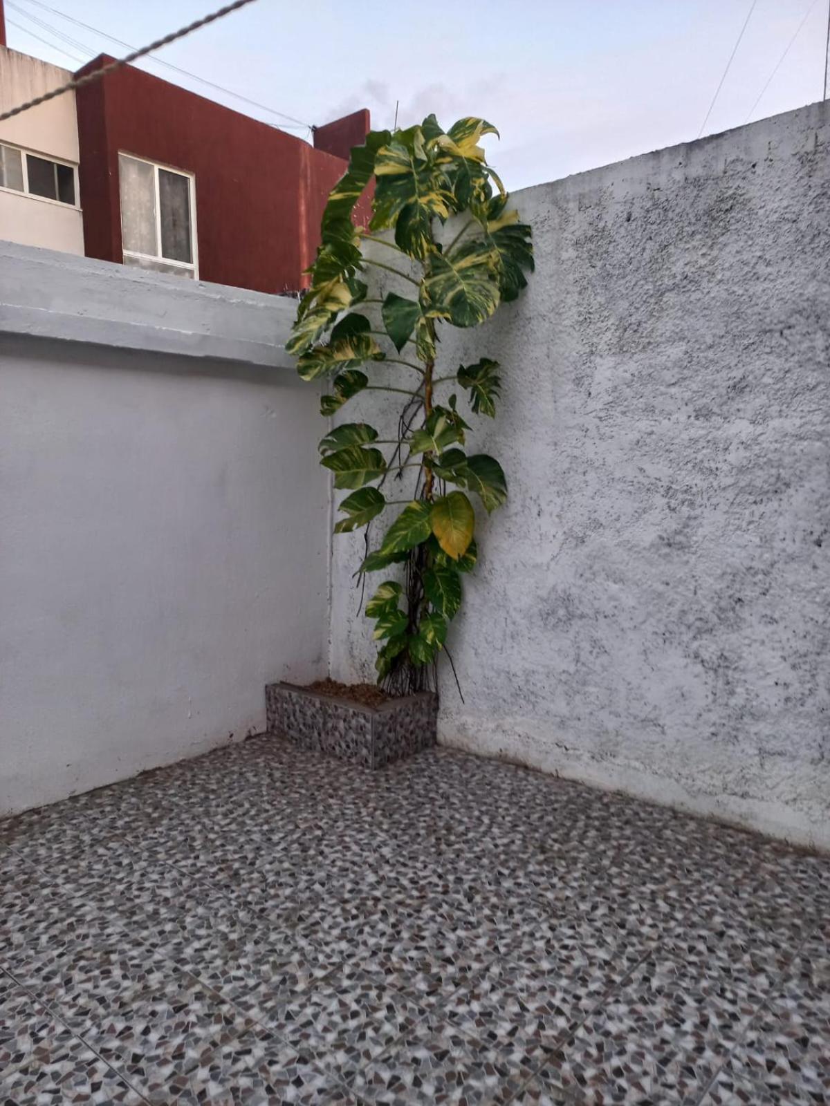 Privadas Turquesa, Nombre Del Alojamiento "Casa Niza Cancun" Bagian luar foto
